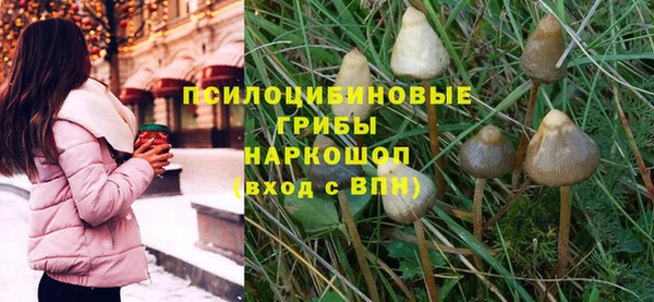 дмт Зеленокумск