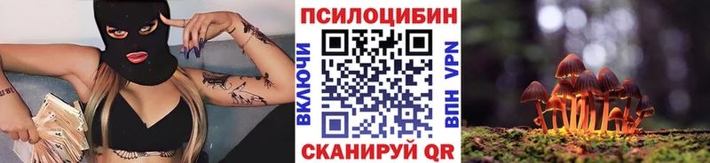 Купить где  Болгар  Псилоцибиновые грибы Psilocybe 
